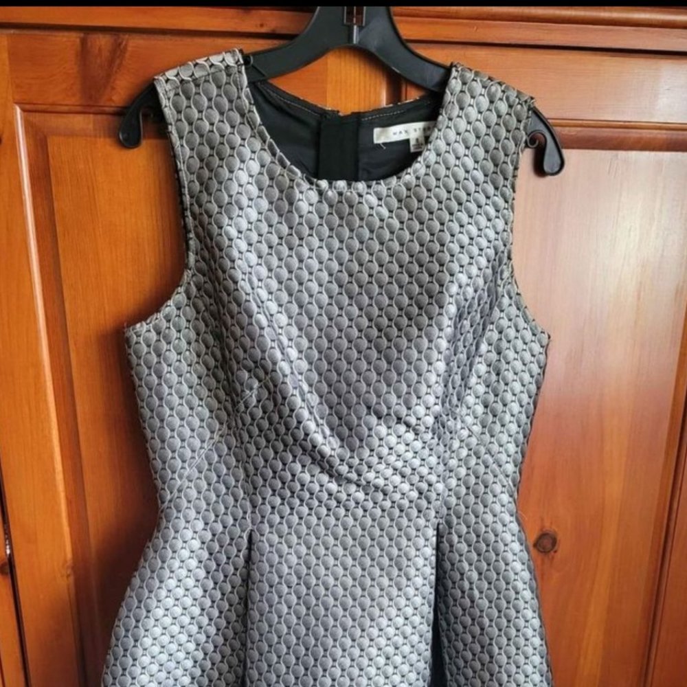 Max Studio Fit and Flare Silver Brocade Dress Size 8